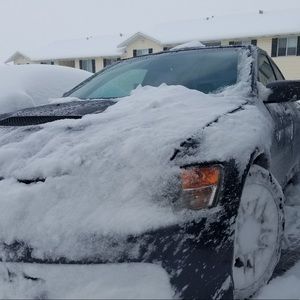 Meet your Posher, Oscar